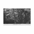 guadeloupe bananeraie ed catan 1 Vintage A4 Photo Print