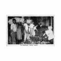 guadeloupe bananes ed candalen Vintage A4 Photo Print
