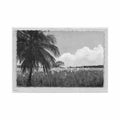 guadeloupe cannes en fleurs ed prisunic 3366 Vintage A4 Photo Print