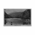 guadeloupe l as de pique ed phos Vintage A4 Photo Print