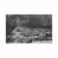 guadeloupe la riviere noire ed phos Vintage A4 Photo Print