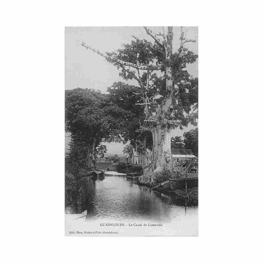 guadeloupe le canal du lamentin ed phos Vintage A4 Photo Print