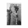 guadeloupe marchande coco a l eau ed catan 23 Vintage A4 Photo Print