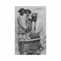 guadeloupe marchande de tablettes de coco ed phos Vintage A4 Photo Print