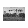 guadeloupe saint claude le champ barolet ed phos Vintage A4 Photo Print
