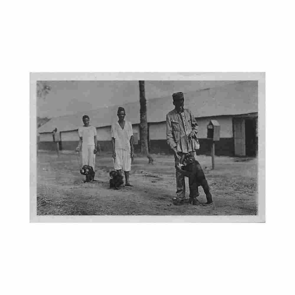 guinea conakry pasteur institute of kindia sick walk guinee conakry institut pasteur de kindia prom Vintage A4 Photo Print