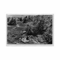 guinee conakry marigot ed cogex 2101 Vintage A4 Photo Print