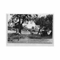 guinee conakry scene pastorale ed cogex 2141 Vintage A4 Photo Print