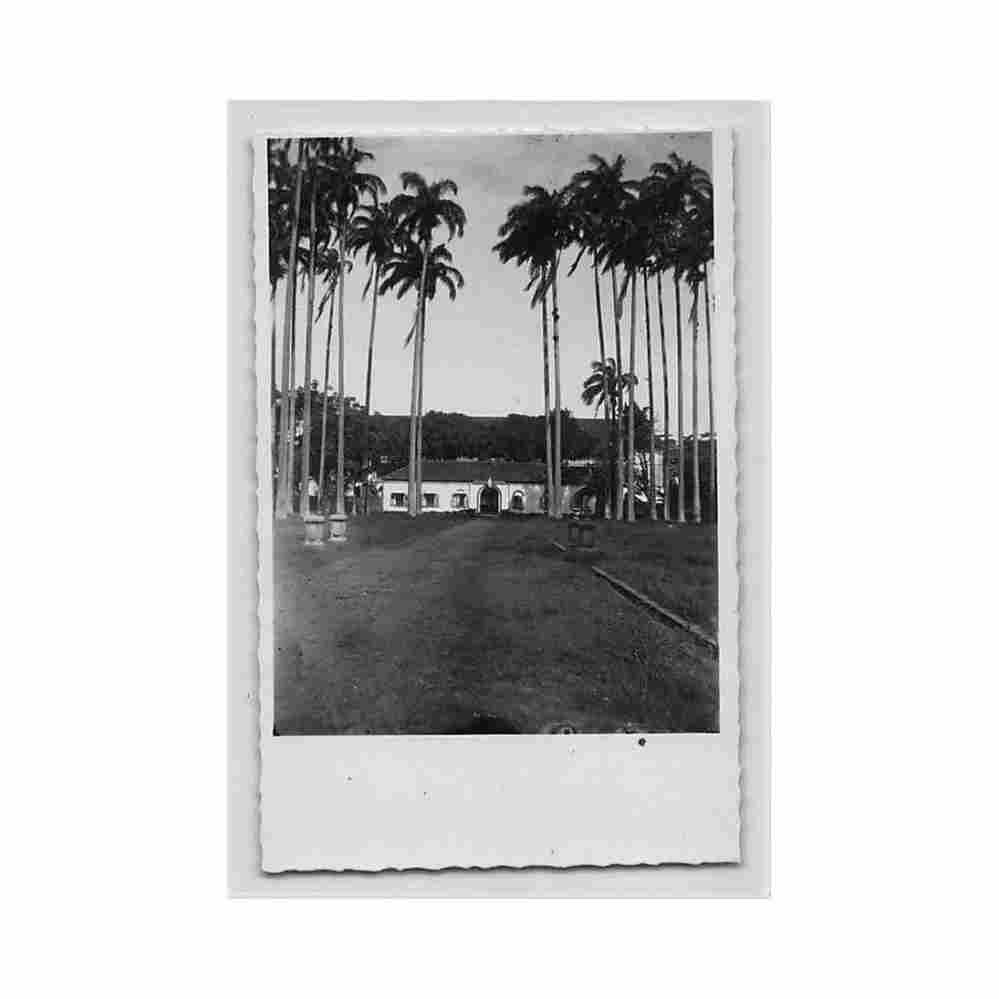 guyane cayenne allee de l hopital general ed inconnu Vintage A4 Photo Print