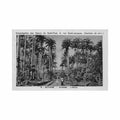 guyane cayenne l hopital ed congregation des soeurs de saint paul 6 Vintage A4 Photo Print
