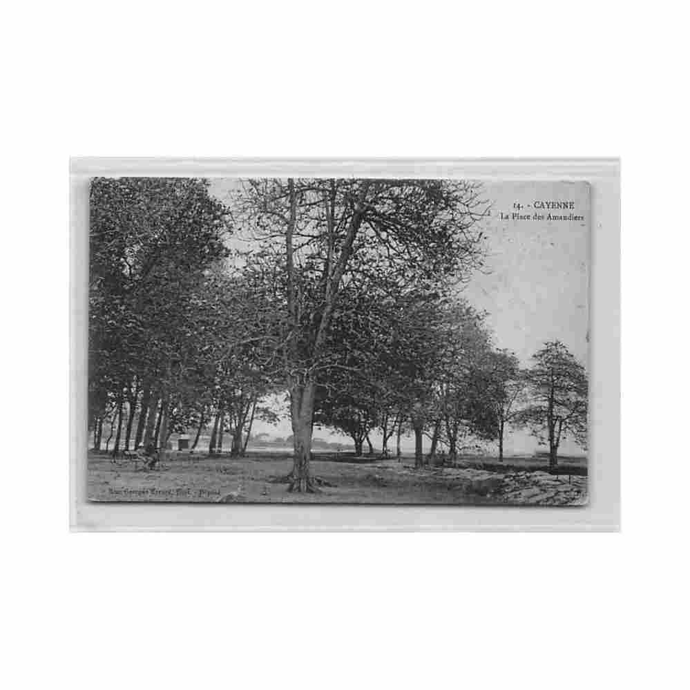 guyane cayenne la place des amandiers ed mme georges evrard 14 Vintage A4 Photo Print