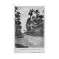 guyane cayenne la rue lallouette ed mascre Vintage A4 Photo Print