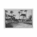 guyane cayenne le velodrome ed v jermoliere 19 Vintage A4 Photo Print