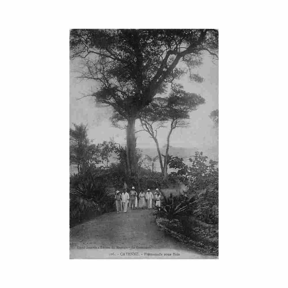 guyane cayenne promenade sous bois ed magasin la conscience 106 Vintage A4 Photo Print