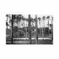 guyane cayenne stade tennis club ed inconnu Vintage A4 Photo Print