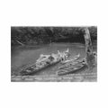 guyane degrad saint nazaire a sainte elie ed magasin la conscience Vintage A4 Photo Print