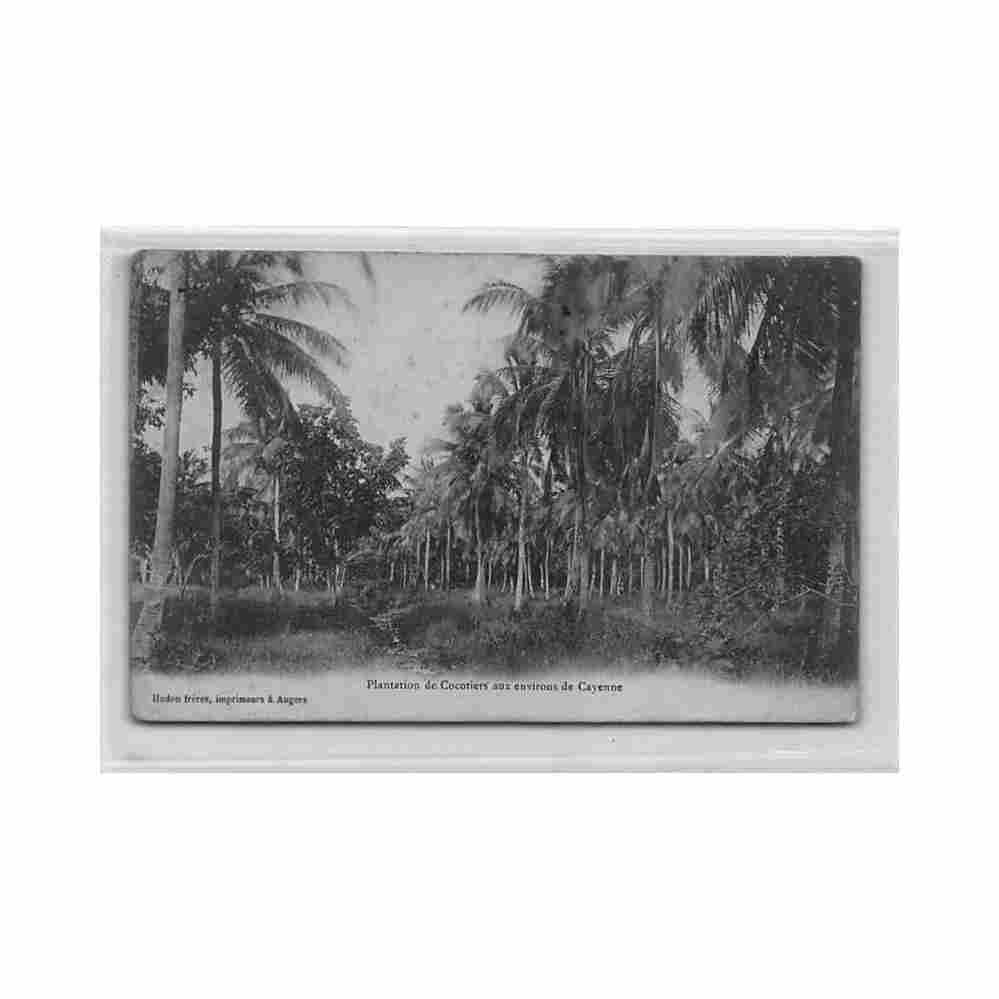 guyane environs de cayenne plantation de cocotiers ed hudon freres Vintage A4 Photo Print