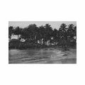 guyane rivage buzaret ed magasin la conscience Vintage A4 Photo Print