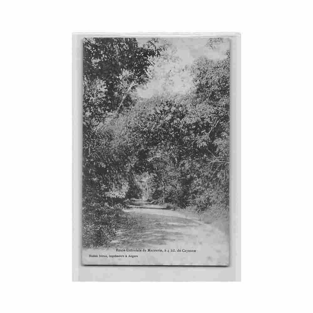 guyane route coloniale de macouria a 4 kil de cayenne ed hudon freres Vintage A4 Photo Print