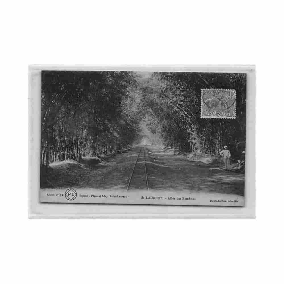 guyane saint laurent allee des bambous ed perez levy 32 Vintage A4 Photo Print