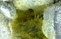 gypsum crystals cave Vintage A4 Photo Print