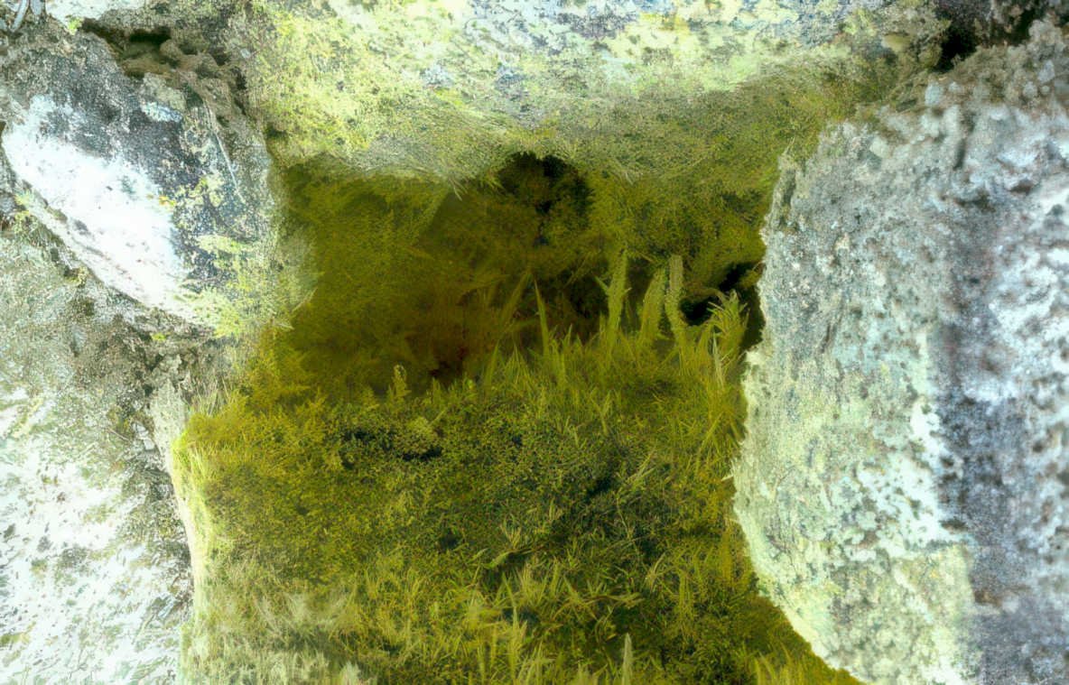 gypsum crystals cave Vintage A4 Photo Print