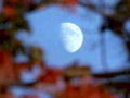 half moon dusk1980s 1990s A4 Photo Print