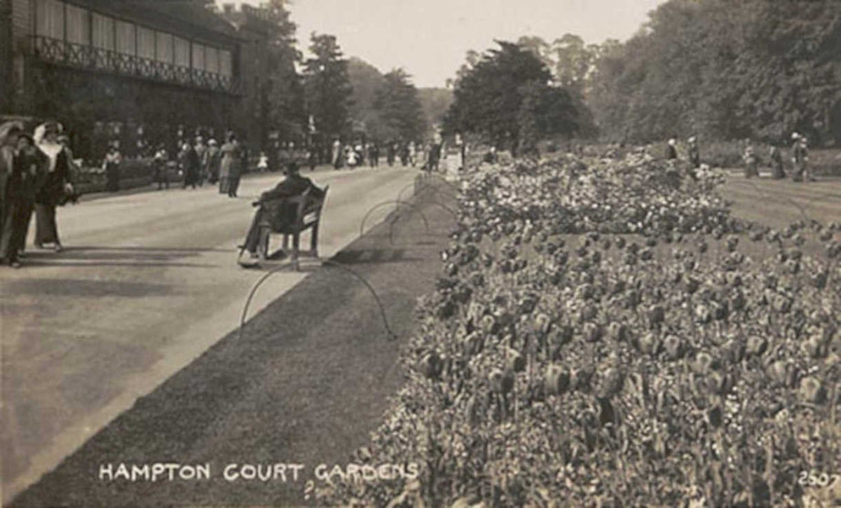 hampton court gardensVintage 1880s 1900s A4 Photo Print