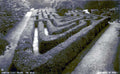 hampton court mazeVintage 1880s 1900s A4 Photo Print