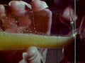 hand juice suit1980s 1990s A4 Photo Print