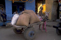 handcart grain r344 1980s 1990s A4 Photo Print