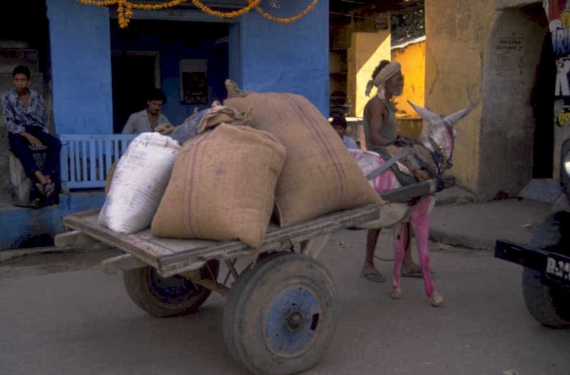 handcart grain r344 1980s 1990s A4 Photo Print