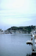 harbor boats dock Vintage A4 Photo Print