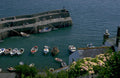 harbor boats hydrangeas 1980s 1990s A4 Photo Print