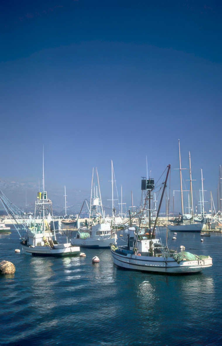 harbor fishing fleet Vintage A4 Photo Print