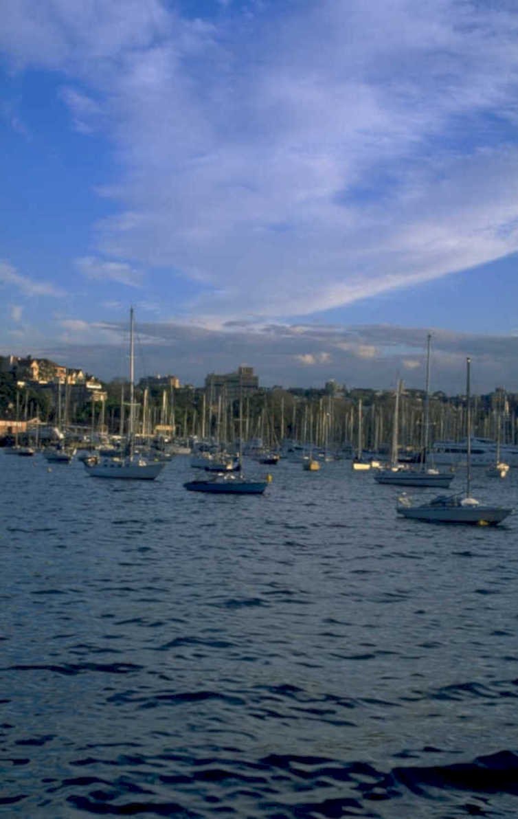 harbor sailboats boston 1980s 1990s A4 Photo Print