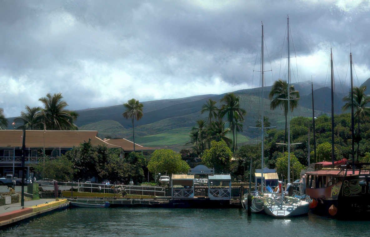 harbor sailboats sea Vintage A4 Photo Print