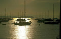 harbor sunset sailboats Vintage A4 Photo Print