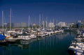 harbor view sailboats 1980s 1990s A4 Photo Print