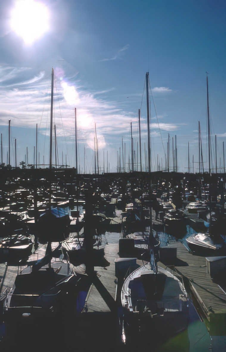 harbor yachts boats Vintage A4 Photo Print