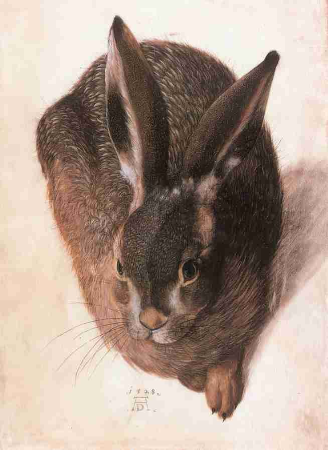 hare Art A4 Photo Print