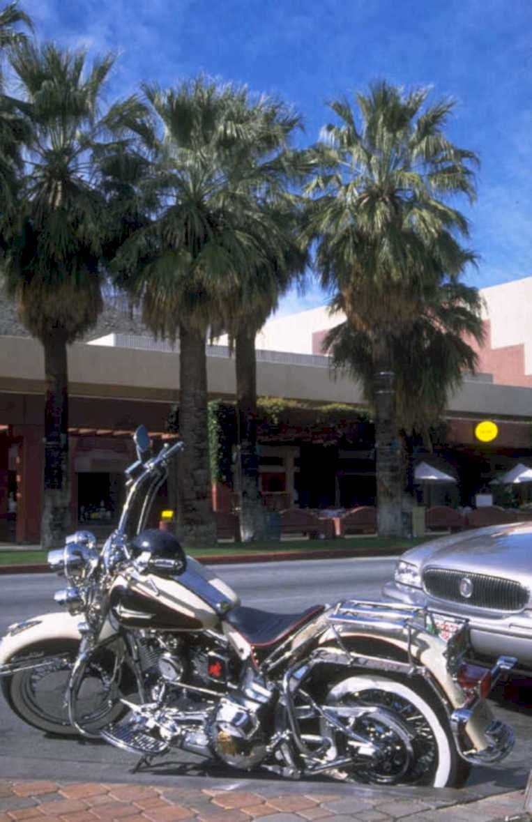 harley palm springs 1980s 1990s A4 Photo Print
