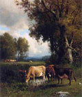 hart william Cows in the Meadow Art A4 Photo Print
