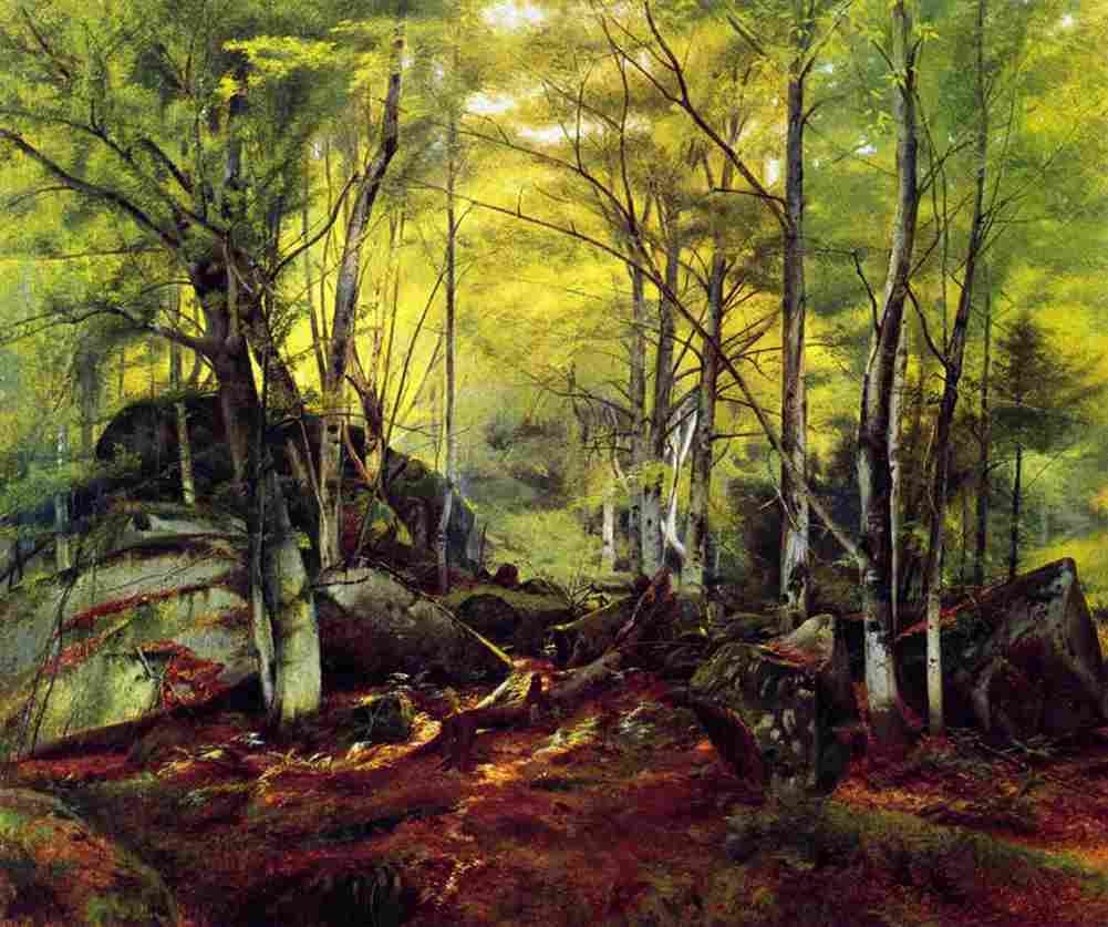hart william Woodland Scene Art A4 Photo Print