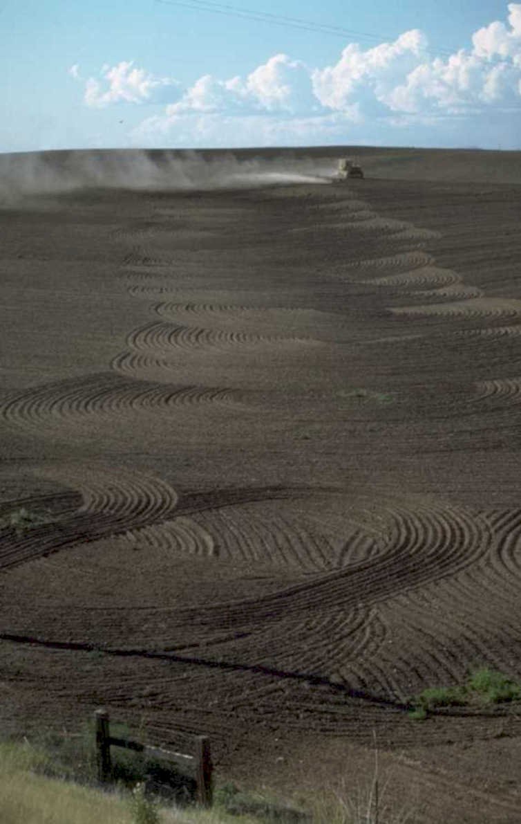 harvest prairie combine 1980s 1990s A4 Photo Print