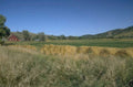 harvest wheat barn 1980s 1990s A4 Photo Print