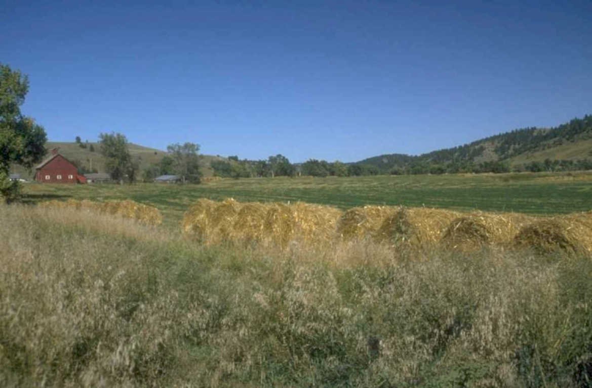 harvest wheat barn 1980s 1990s A4 Photo Print