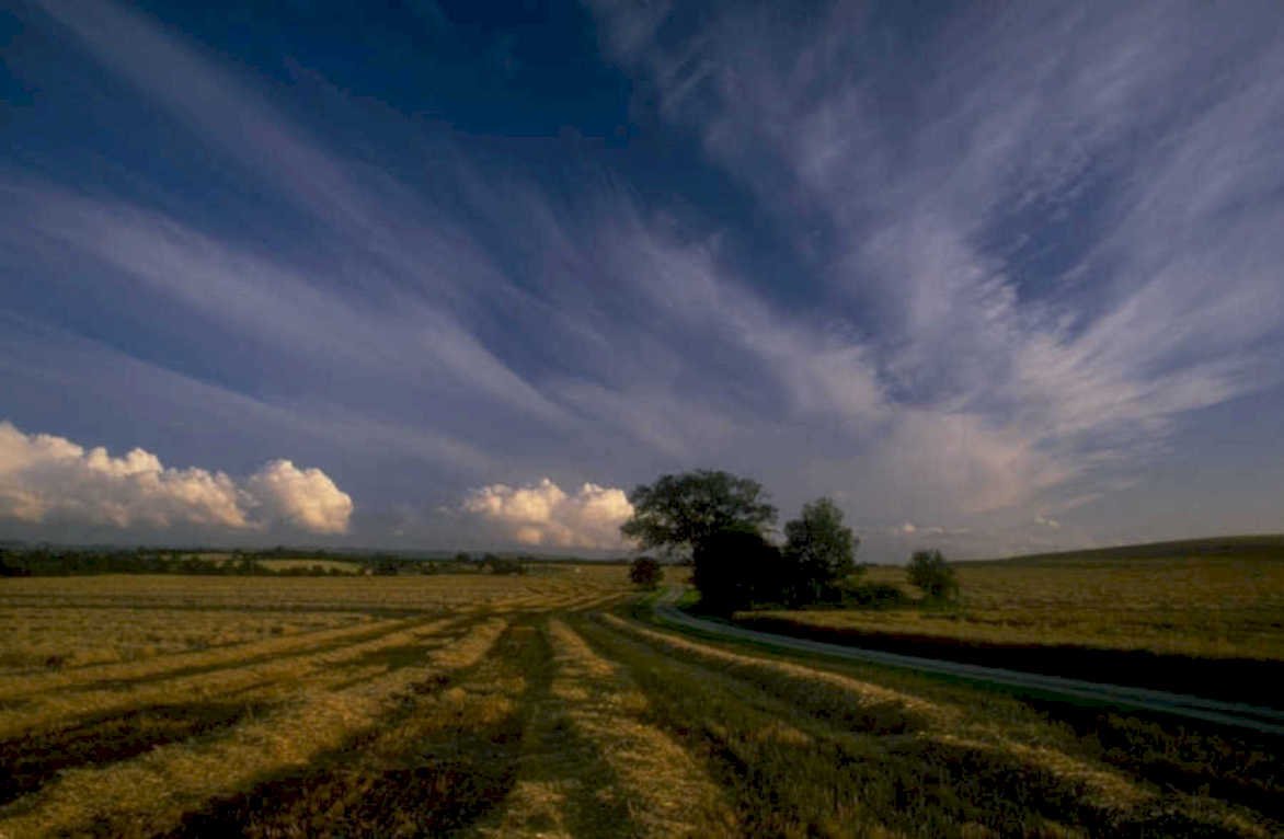 harvest wheat sky 1980s 1990s A4 Photo Print 42
