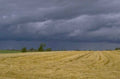 harvest wheat sky 1980s 1990s A4 Photo Print
