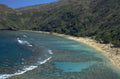hawaii beach reef 1980s 1990s A4 Photo Print